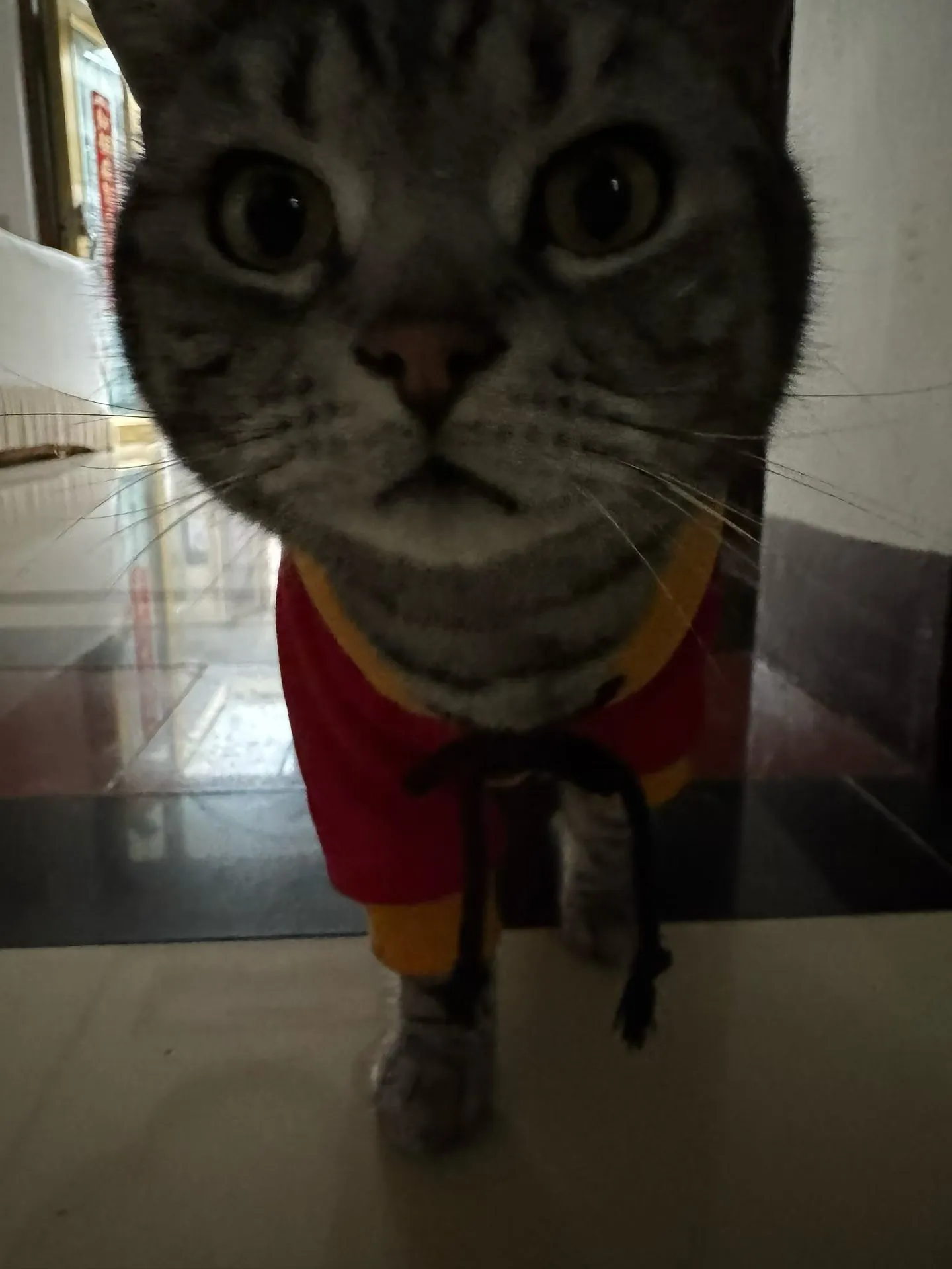 晚安